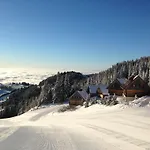 Moselebaueralm 木屋