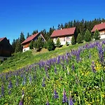 Moselebaueralm *
