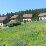 Moselebaueralm