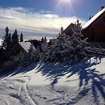 Moselebaueralm 木屋