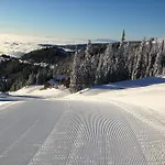 Moselebaueralm 木屋 Klippitztorl