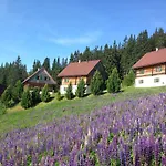 Moselebaueralm 木屋 Klippitztorl