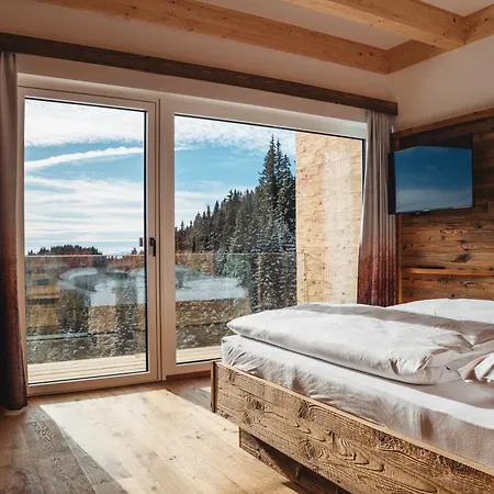 Moselebaueralm Alpehytte *