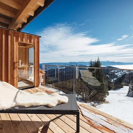 Moselebaueralm Alpehytte *