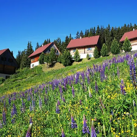 Moselebaueralm *