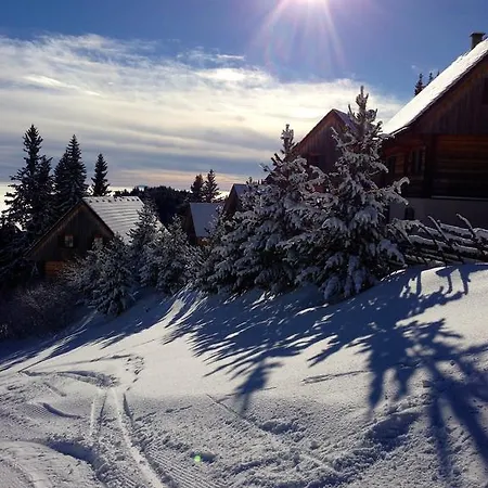Moselebaueralm Alpehytte