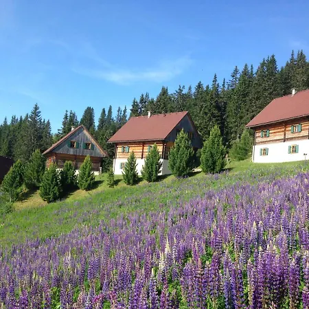 Moselebaueralm Alpstuga Klippitztorl