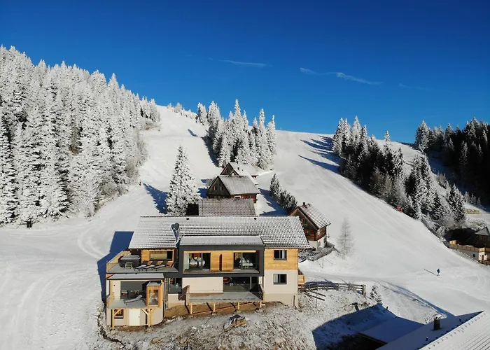 Chalet Moselebaueralm