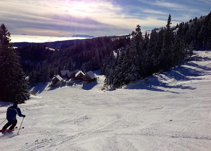 Chalet Moselebaueralm