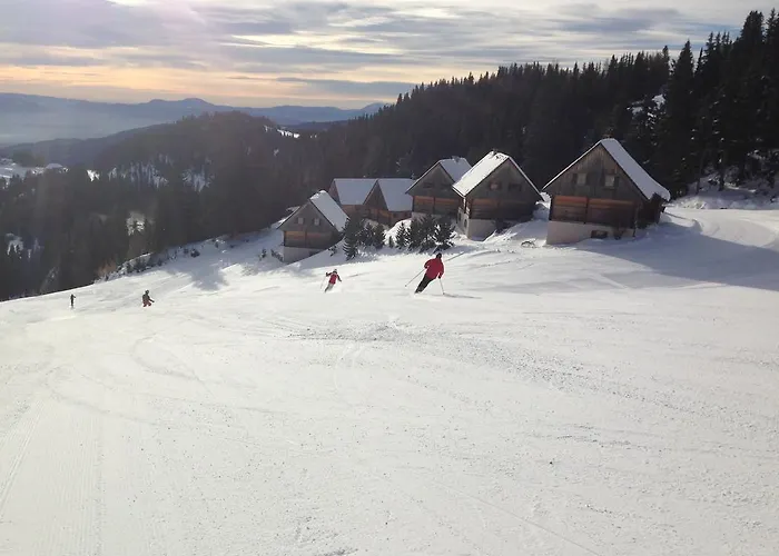 Chalet Moselebaueralm *