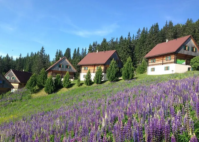 Moselebaueralm Chalet Klippitztorl